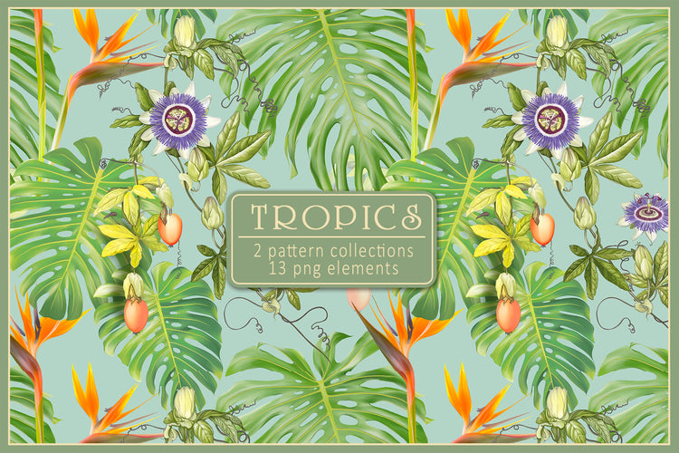 Tropics Pattern