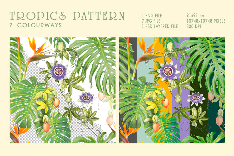 Tropics Pattern