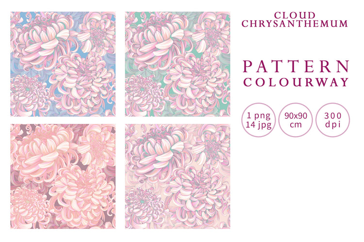 Cloud Chrysanthemum