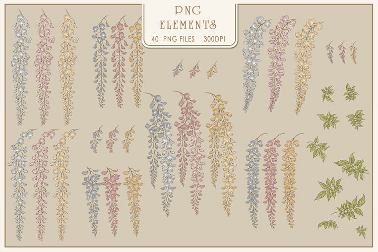 Wisteria Bloom Pattern