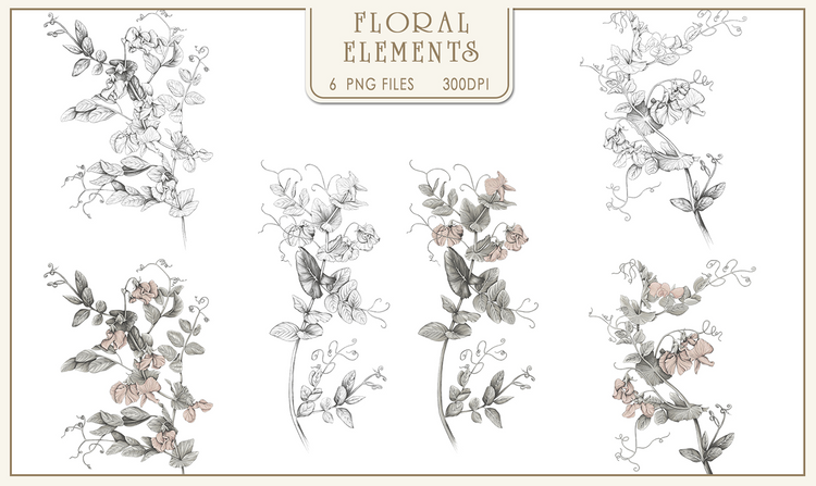 Flora
