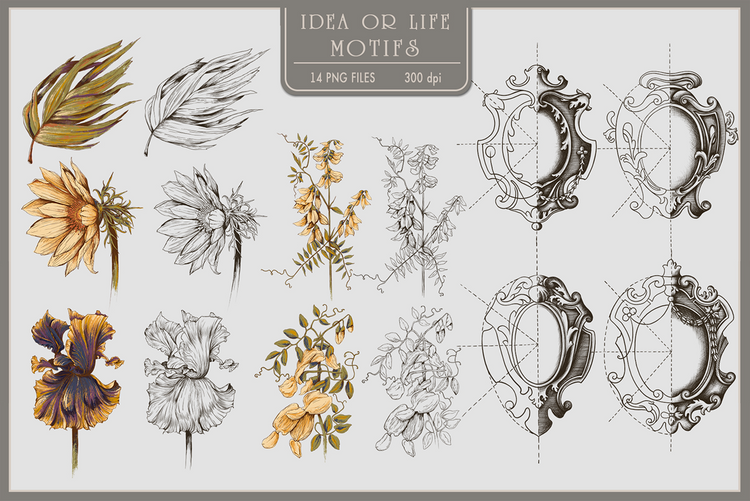 Idea or Life Pattern