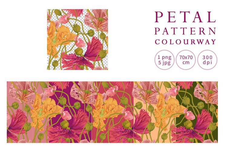 Petal Pattern