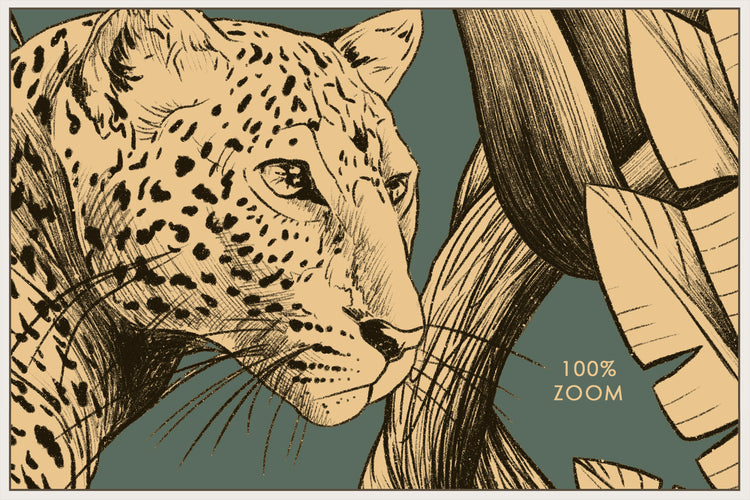 Tropical Pattern Collection