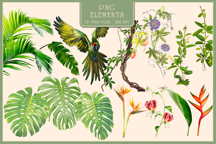 Tropics Pattern