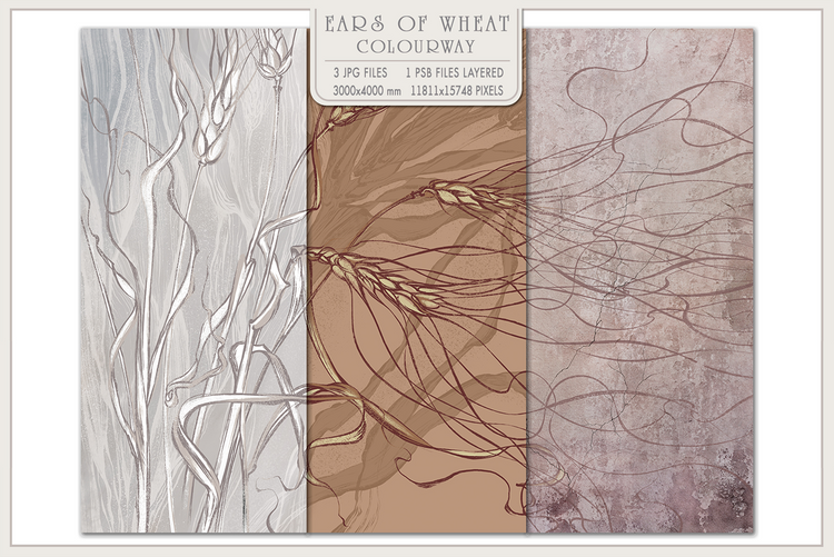 Ears of wheat