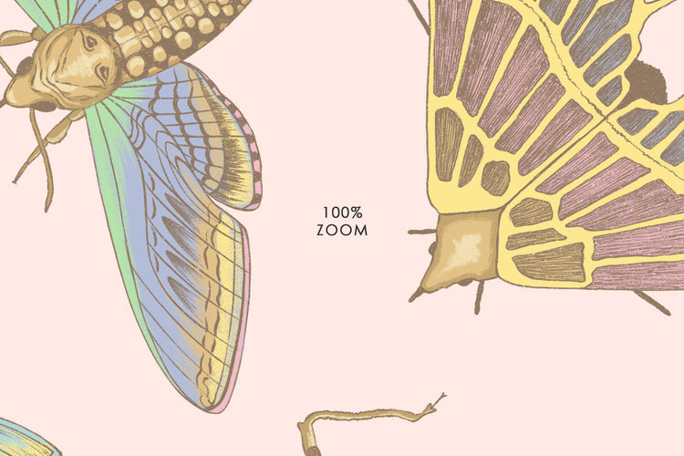 Velvet Insects