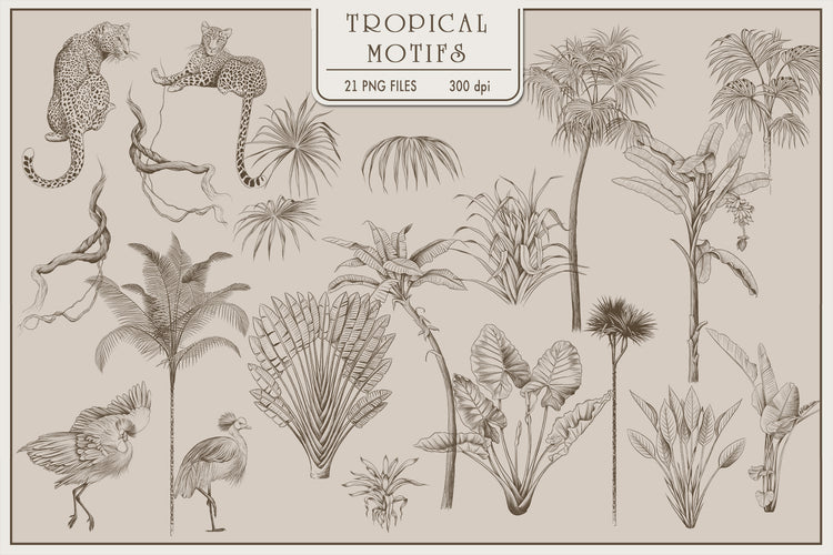 Tropical pattern collection