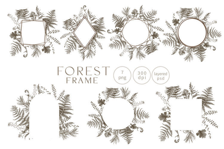 Forest