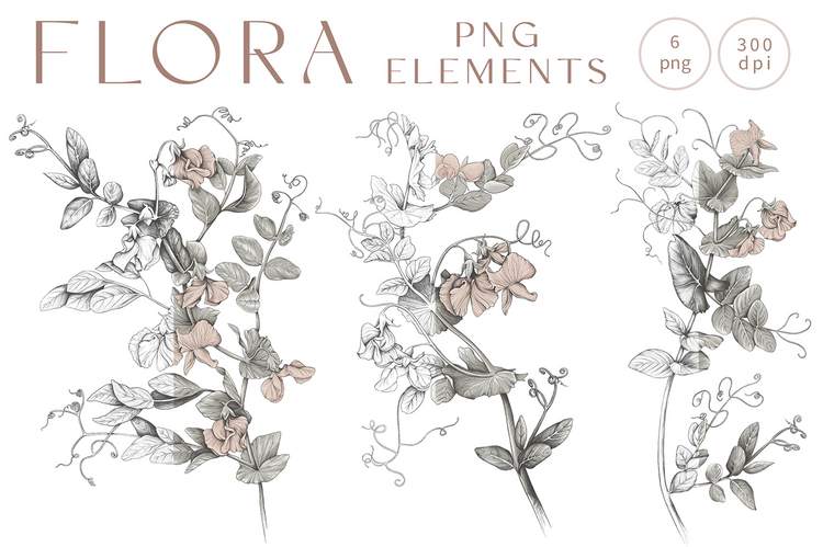 Flora
